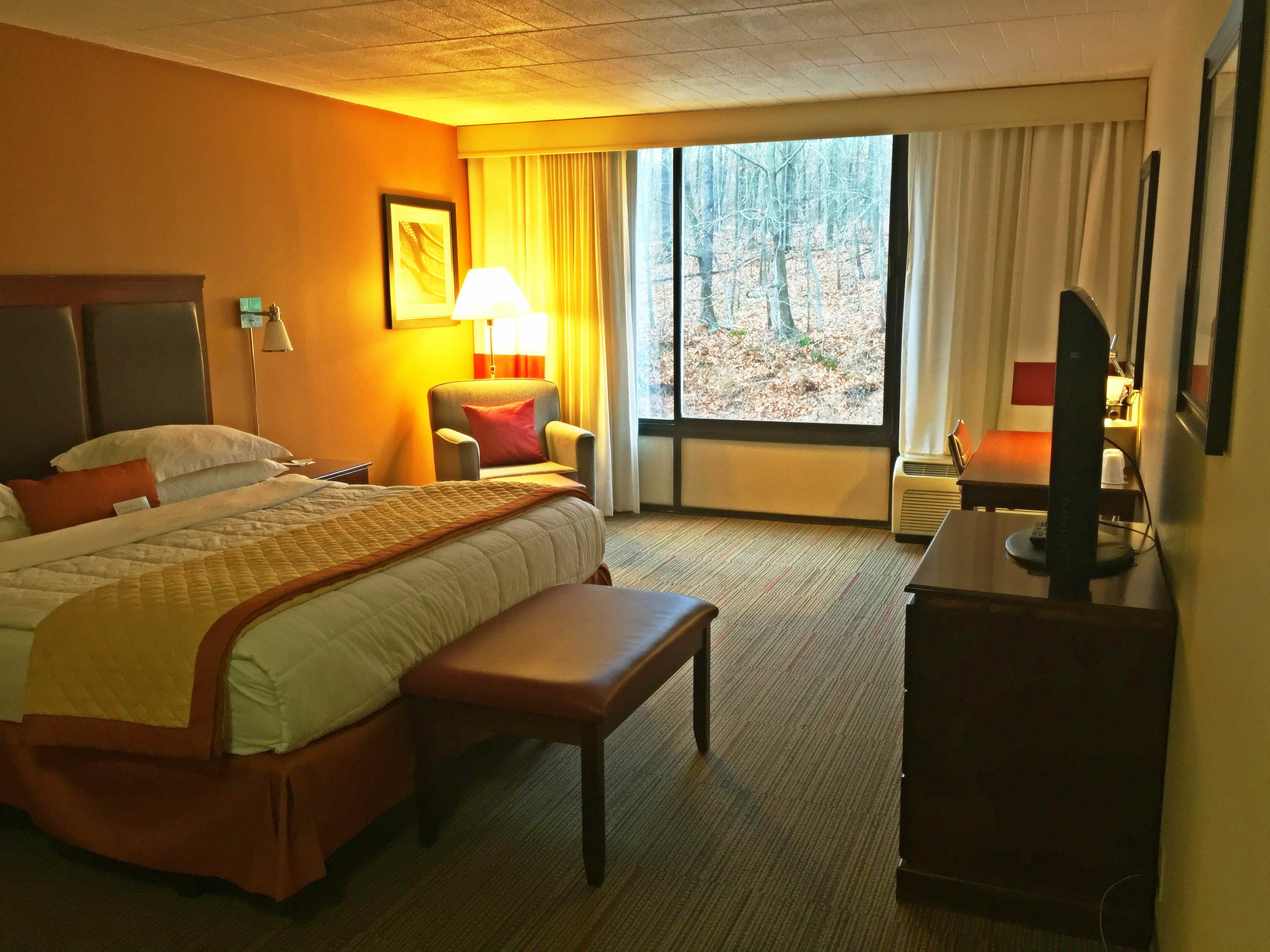 Wyndham Garden Inn Pittsburgh Airport Robinson Township Exterior foto